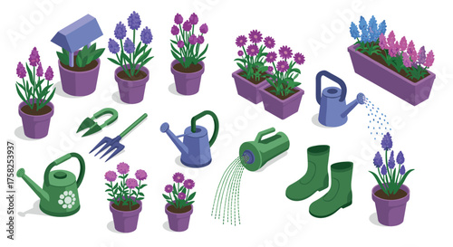 Isometric gardening tools and flower pots with purple blooms