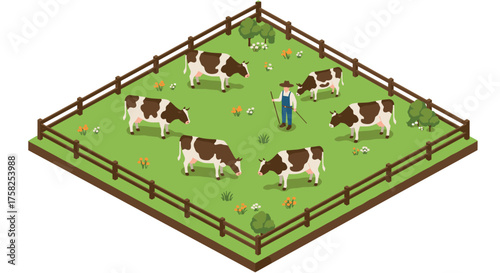 Isometric farm scene with cows and farmer on green pasture surrounded by fencing