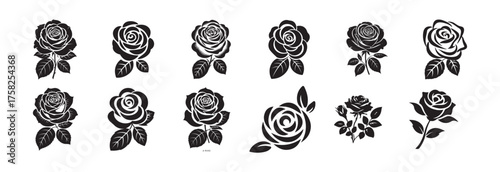Elegant Rose Outline Collection for Design