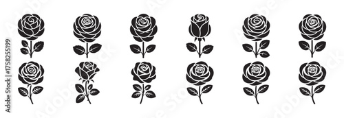 Set of Vintage Rose Flower Illustrations