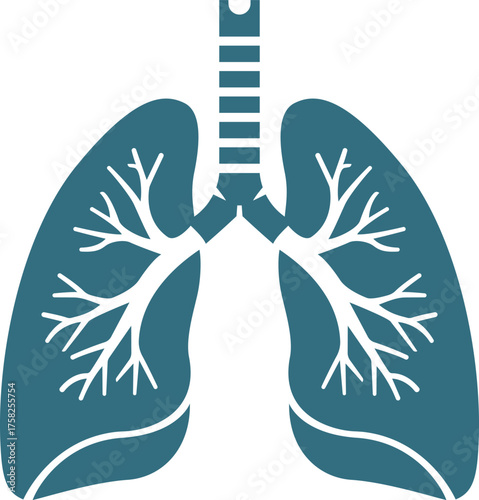 Human Lungs Respiratory System Flat Icon