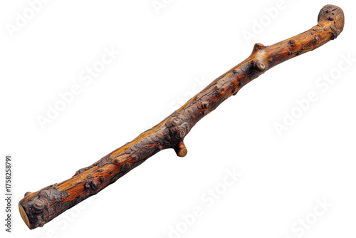 wooden stick with textured bark against a for crafts and nature projects on transparent background