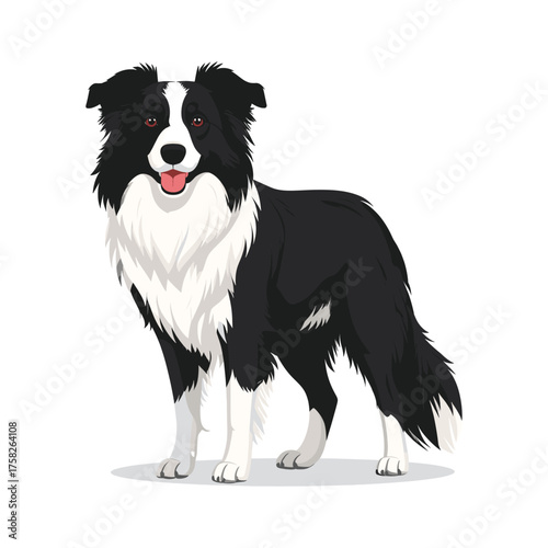 Elegant Black and White Border Collie with Red Eyes and Tongue Out