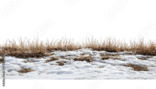 A cut-out photo showcasing snow-covered ground with dry grasses against a black background