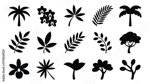 Collection of black tropical plant icons isolated on white background