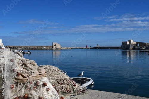 A seagull stands on the prow of a boat near a pile of fishing nets. The water and sky are a dark blue. Stone walls surround the harbour, and a red lighthouse is in the distance.