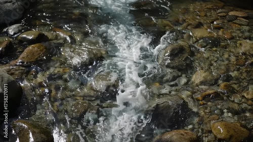 A fast-flowing stream cascades over rocks, creating white water and reflections