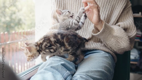 A young woman is playing with cute little kittens sitting on the windowsill of a country house