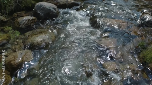 Close-up of a stream with rocks, flowing water, and patches of moss