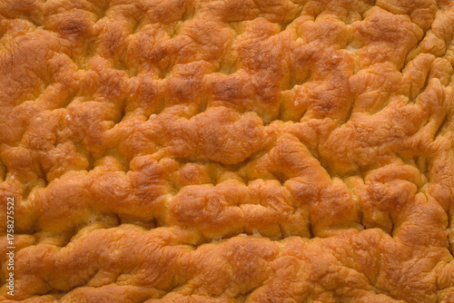 Italian Pan Focaccia Close Up