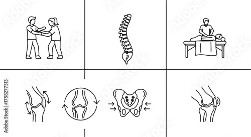 Six Line Art Icons Representing Chiropractic and Physical Therapy Concepts on a White Background healthcare also transparent background