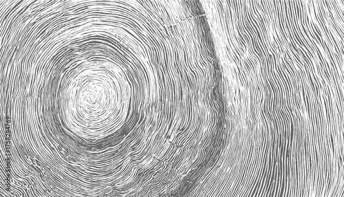 Concentric rings and wavy lines abstract background