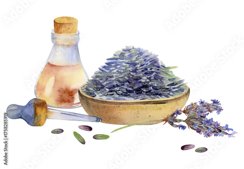 Lavender seed pile in handmade pottery bowl, essential oil essence glass bottle, pipette dropper, lavandula flower stems. Isolated illustration hand drawn in watercolor. Aromatherapy, herbal craft.