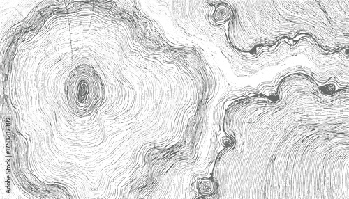 Wood grain texture with knots and rings vector