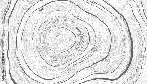 Wood grain rings texture pattern