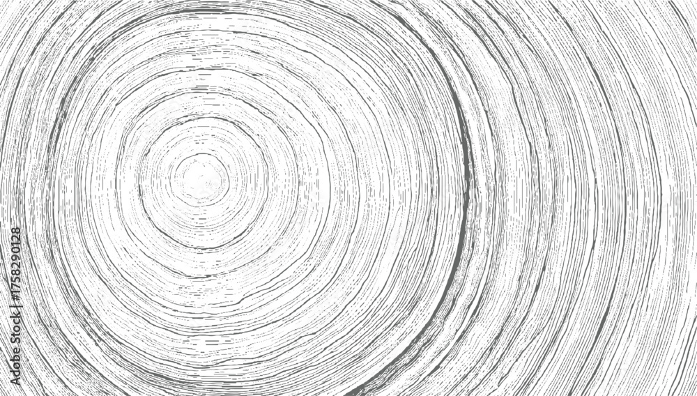 Fototapeta premium Concentric grey lines on white background abstract circle