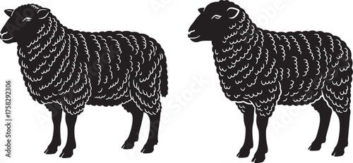 Two black sheep silhouettes standing side by side isolated on transparent background