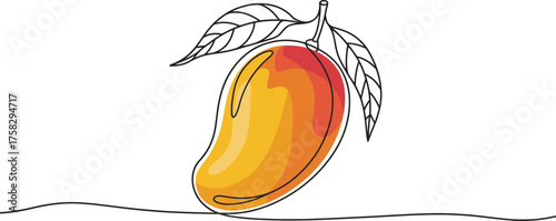 Vibrant single line drawing of a ripe mango with leaves and stem presented artistically with minimalist continuous line detail vector