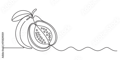 Minimalist continuous single line drawing of a guava fruit and its slice capturing essential form and texture effortlessly vector