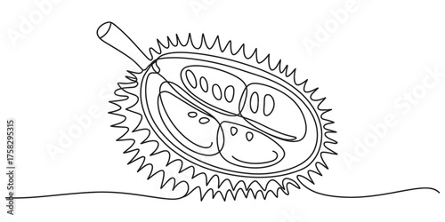 Minimalist continuous single line drawing of a durian fruit showing its spiky exterior and inner seed pods and segments vector