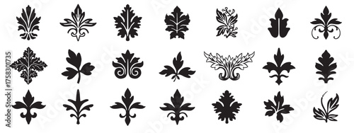 A set of leaf decorative element. Floral symbols