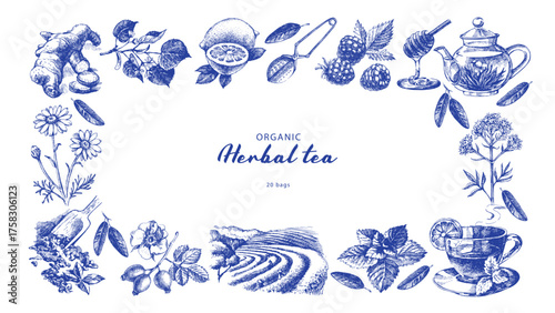 Hand drawn vintage sketch tea and herbs frame. Isolated vector illustrations on white background