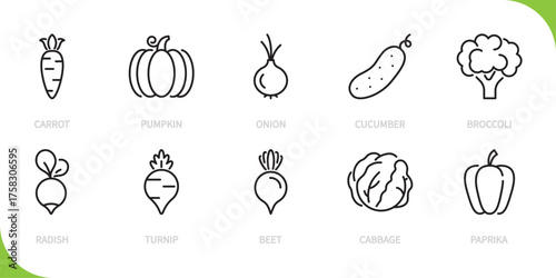 Vegetable & food line icon set. Carrot, pumpkin, onion, cucumber, broccoli, radish, turnip, beet, cabbage, paprika sign. Vector illustration. Editable stroke. Flat design.