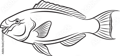 Stylized Black and White Outline Illustration of a Fish