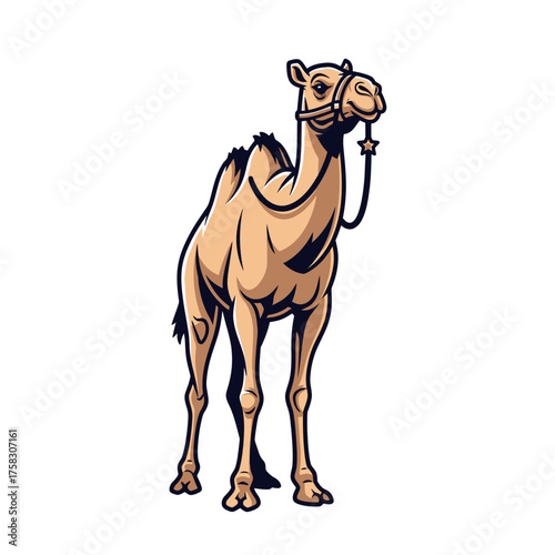 Strong dromedary camel character standing proud with a star emblem in a bold graphic illustration style