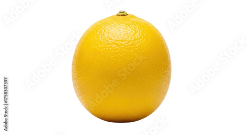 Schilderij op canvas Isolated yellow lemon on seamless background for commercial use, tropical fruit