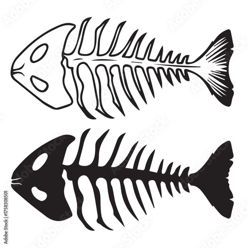 engraving vintage fish