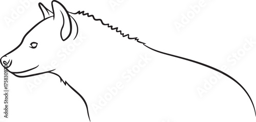 Hyena Profile Line Art Illustration on White Background