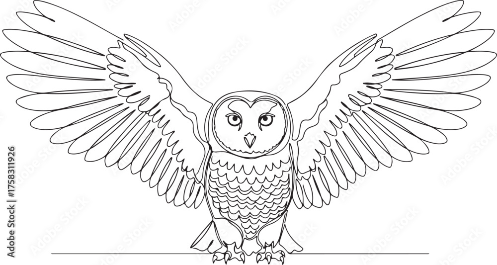 Fototapeta premium Line Art Illustration of an Owl with Spread Wings