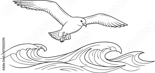 Seagull Flying Over Ocean Waves Line Art Illustration
