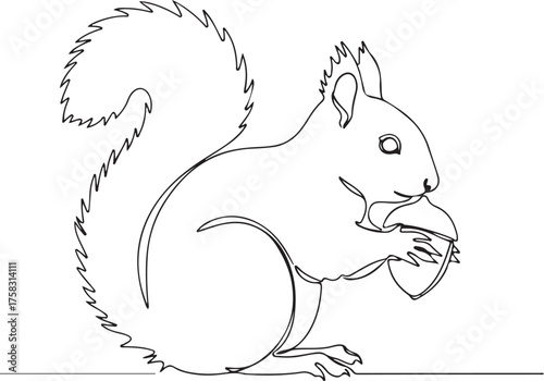 Continuous Line Art Drawing of a Squirrel Holding an Acorn