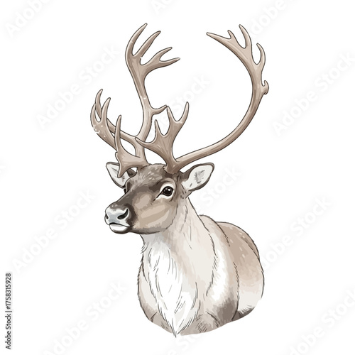 Dreamy domesticated reindeer character gazing peacefully with magical shimmering antlers and watercolor texture