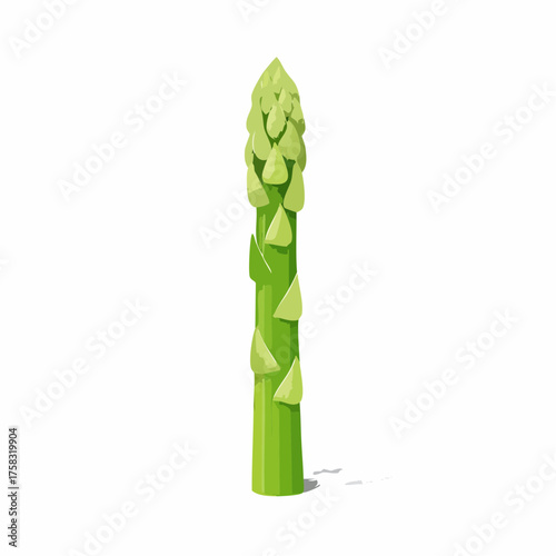 A tall, slender green asparagus spear stands upright, its delicate tip perfectly in focus.