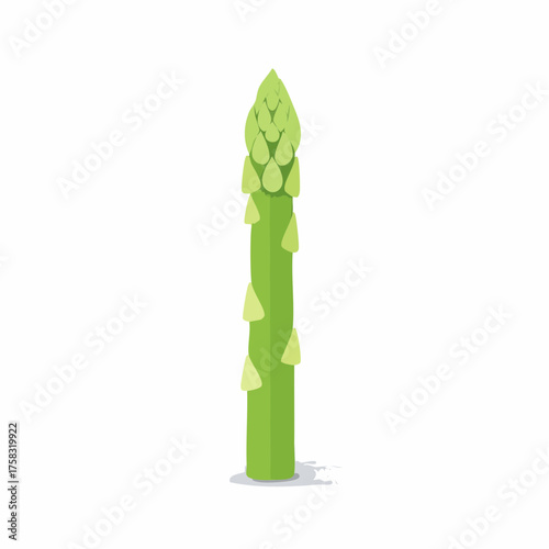 A tall, slender green asparagus spear stands upright, its delicate tip perfectly in focus.