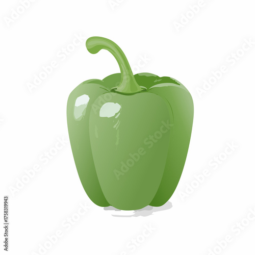 A pale green bell pepper with a smooth, shiny skin sits prominently, casting a gentle shadow.