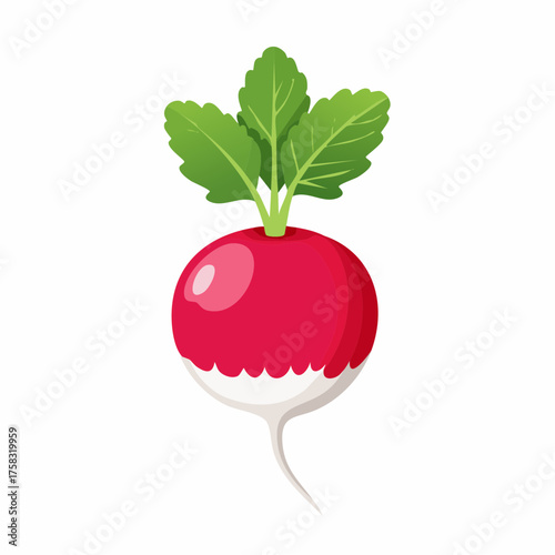 A plump, smooth, vibrant red radish with a delicate white tip and a wisp of green stem.