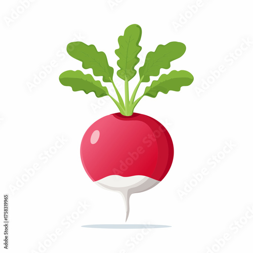 A plump, smooth, vibrant red radish with a delicate white tip and a wisp of green stem.