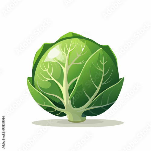 A vibrant green brussels sprout, small and perfectly round, shows its tightly layered leaves.
