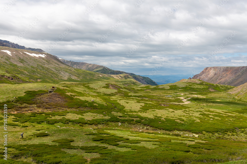 Fototapeta premium Beautiful scenery of a green grassy valley on summer cloudy day