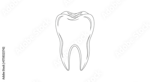 Illustration of a molar tooth, dental concept