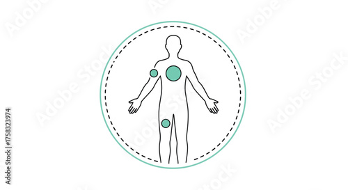 Illustration of a human body with highlighted areas