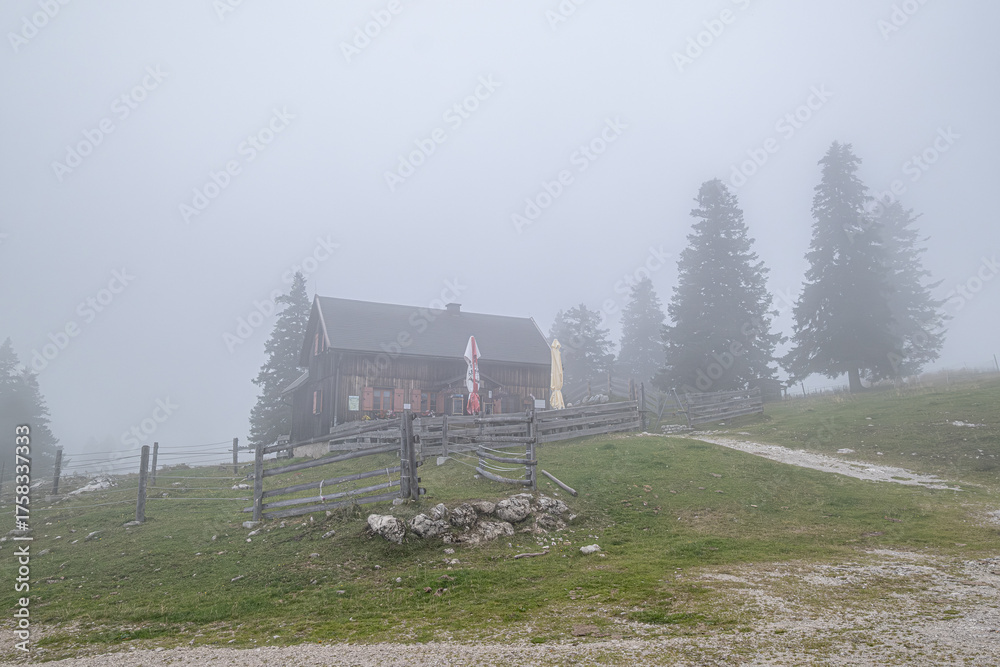 Obraz premium On hike from Gemeindealpe 1626 m summit down to Erlaufsee lake at 827 m, Lower Austria Limestone Alps in Mitterbach am Erlaufsee municipality, Styria, Austria