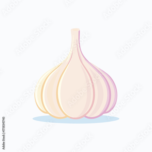 Elegant single garlic bulb showcasing its natural curves and textures softly lit