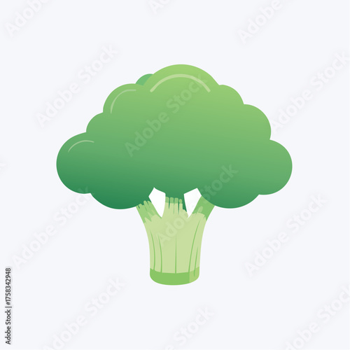 Illustration of a fresh green broccoli on a white background in vector style