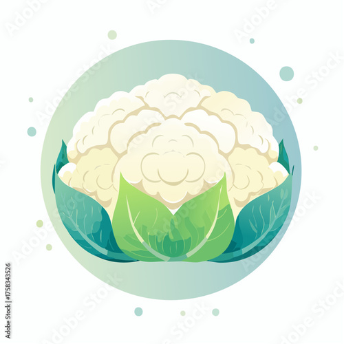 Illustration of fresh cauliflower with gradient circle background isolated