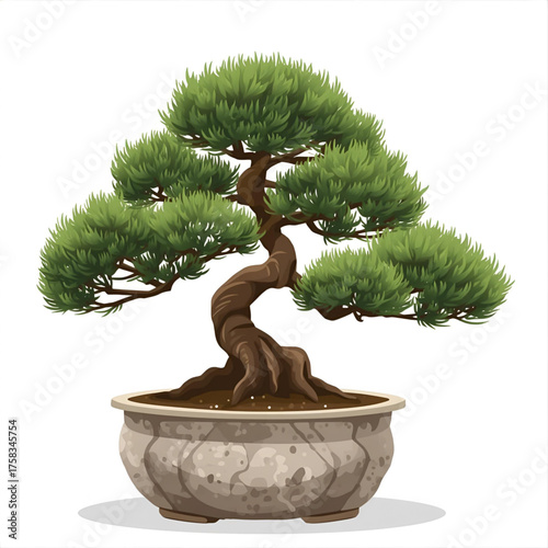 A beautifully sculpted bonsai tree in a decorative pot, showcasing nature's artful design